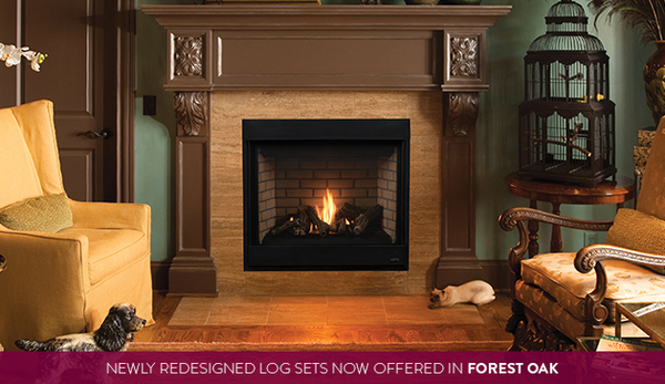 Gemini Direct Vent Gas Fireplace