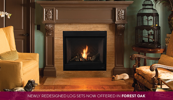 Gemini Direct Vent Gas Fireplace